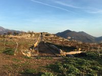 Norma Februar 2016   100